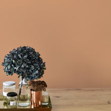 Load image into Gallery viewer, Sweet Potato (C2-559)