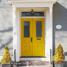 Load image into Gallery viewer, Curry (C2-649)