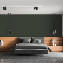 Load image into Gallery viewer, Morris Green (C2-678)