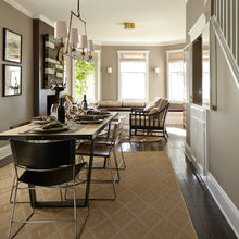 Load image into Gallery viewer, Darwin (C2-810)