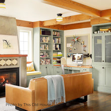 Load image into Gallery viewer, Russian Olive (C2-941)