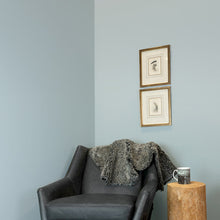 Load image into Gallery viewer, Silver Screen (C2-974)