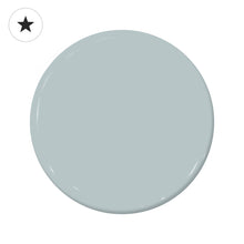 Load image into Gallery viewer, Slinky (C2-975)