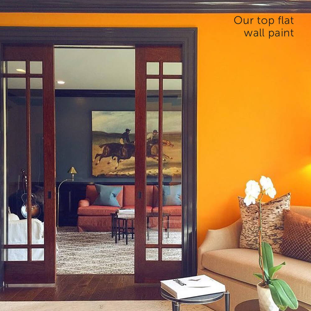 Fine Paints of Europe Eurolux Flat Bergsma's Paint Bergsma's Paint