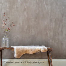 Load image into Gallery viewer, Fresco Lime Paint