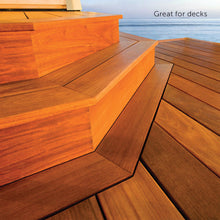 Load image into Gallery viewer, Dec in Natural and Translucent Colors