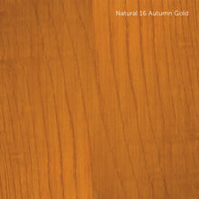 Load image into Gallery viewer, ENS in Natural and Translucent Colors