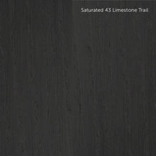 Load image into Gallery viewer, ENS in Saturated and Ultra-Saturated Colors