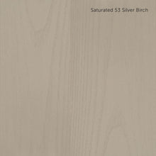 Load image into Gallery viewer, ENS in Saturated and Ultra-Saturated Colors