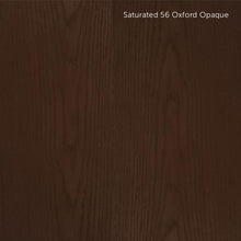 Load image into Gallery viewer, ENS in Saturated and Ultra-Saturated Colors