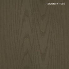 Load image into Gallery viewer, ENS in Saturated and Ultra-Saturated Colors