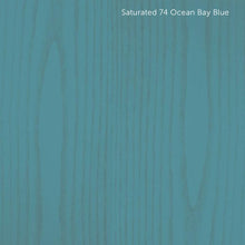 Load image into Gallery viewer, Dec in Saturated and Ultra-Saturated Colors