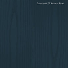 Load image into Gallery viewer, ENS in Saturated and Ultra-Saturated Colors