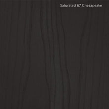 Load image into Gallery viewer, Dec in Saturated and Ultra-Saturated Colors