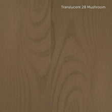 Load image into Gallery viewer, Dec in Natural and Translucent Colors