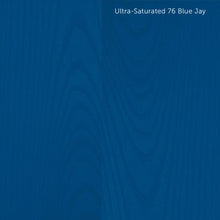 Load image into Gallery viewer, ENS in Saturated and Ultra-Saturated Colors