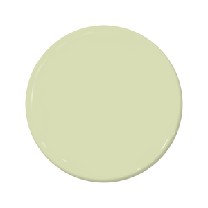 Kiwi (C2-655)